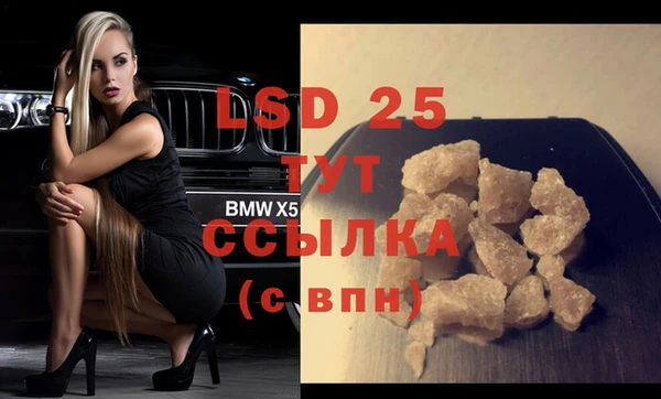 ECSTASY Алзамай