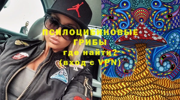 ECSTASY Алзамай