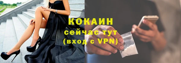 ECSTASY Алзамай