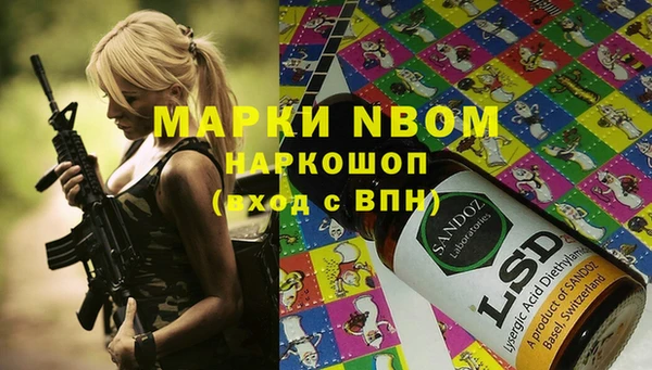 ECSTASY Алзамай