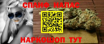 стаф Аргун
