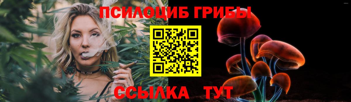 Апшеронск  Псилоцибиновые грибы Cubensis  Галлюциногенные грибы Cubensis  Вход с VPN 